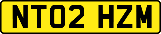 NT02HZM