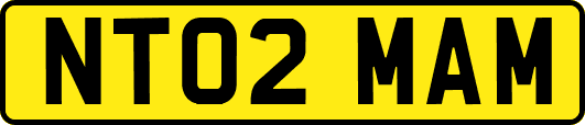 NT02MAM
