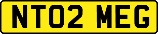 NT02MEG