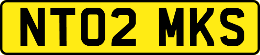 NT02MKS