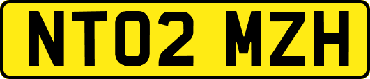 NT02MZH