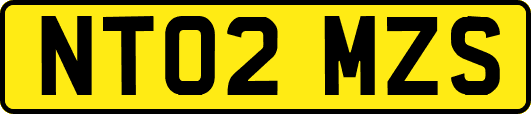 NT02MZS
