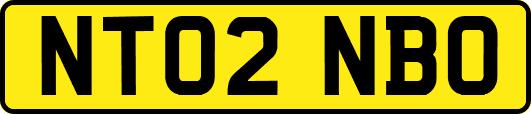NT02NBO