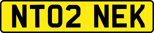 NT02NEK