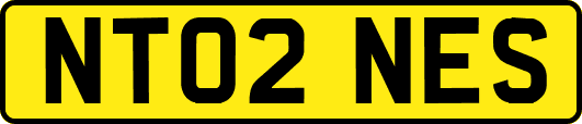 NT02NES