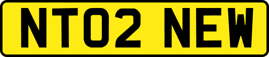 NT02NEW
