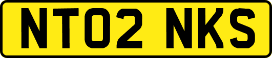 NT02NKS