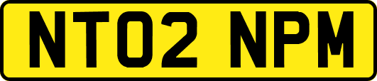 NT02NPM