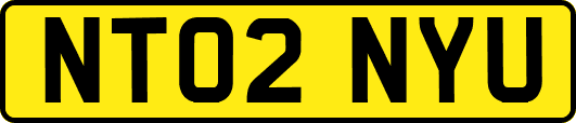 NT02NYU