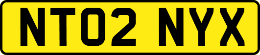 NT02NYX