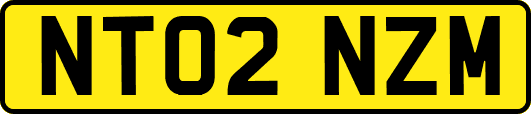 NT02NZM