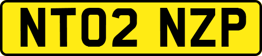 NT02NZP
