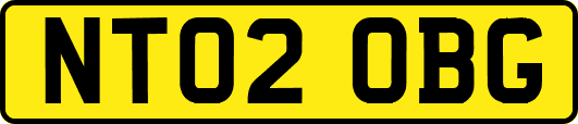 NT02OBG