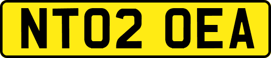 NT02OEA