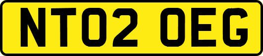 NT02OEG