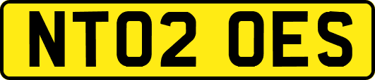 NT02OES