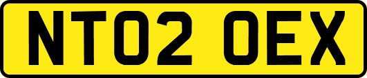 NT02OEX