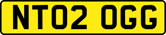 NT02OGG