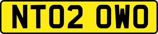 NT02OWO