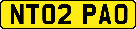 NT02PAO
