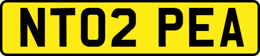 NT02PEA