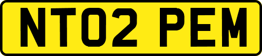 NT02PEM