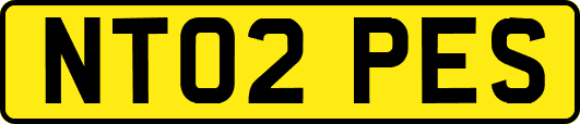 NT02PES