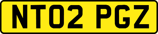 NT02PGZ