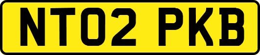 NT02PKB