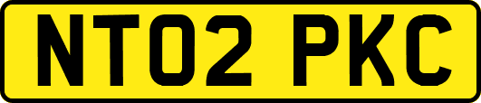 NT02PKC