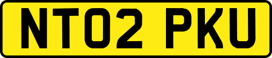 NT02PKU