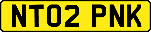 NT02PNK