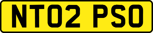 NT02PSO