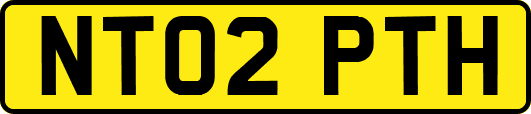 NT02PTH