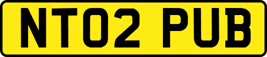 NT02PUB