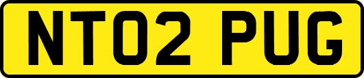 NT02PUG