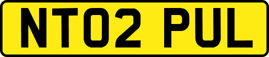 NT02PUL