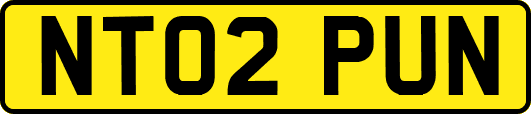 NT02PUN