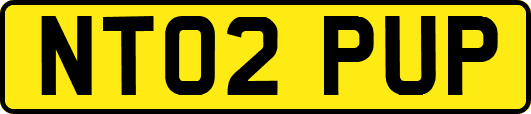 NT02PUP