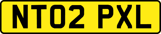 NT02PXL