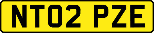 NT02PZE
