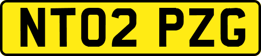 NT02PZG