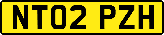 NT02PZH