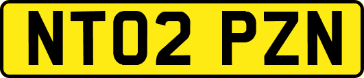 NT02PZN