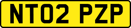 NT02PZP