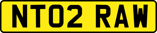 NT02RAW