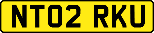NT02RKU
