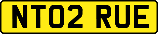 NT02RUE