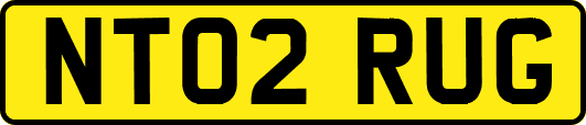 NT02RUG