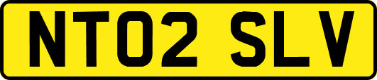 NT02SLV